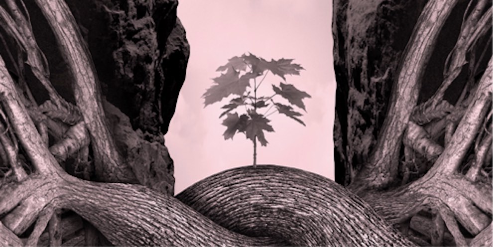 Personal confidence coaching